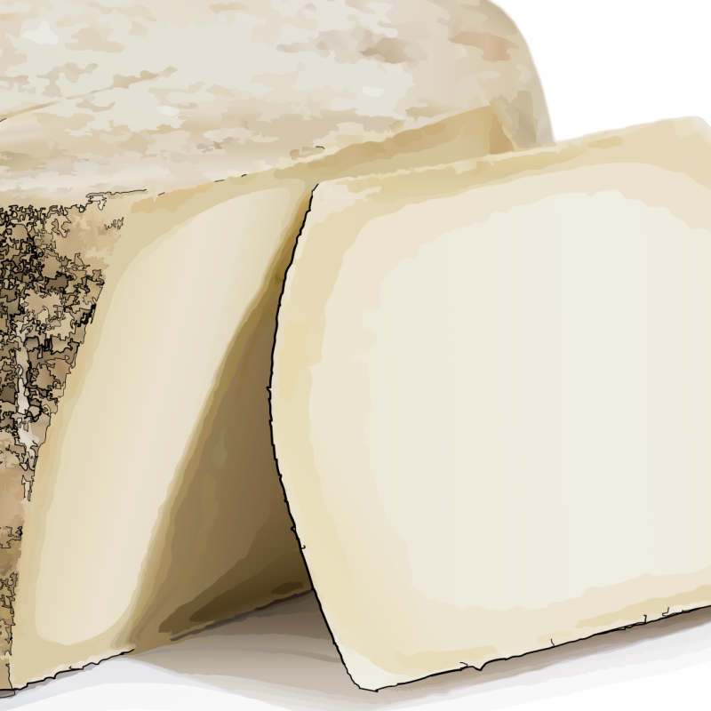 Pecorino