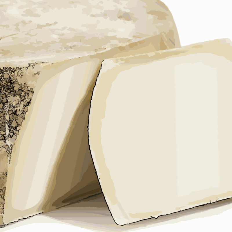 Pecorino