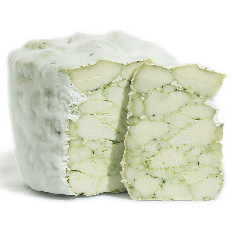 Ozato Basil