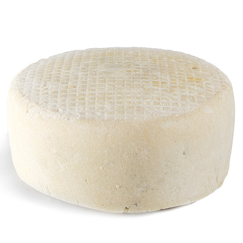 Parmesan